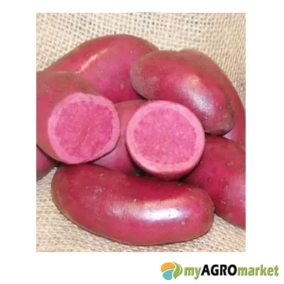 MyAgroMarket πατάτα ροζ Βολιβίας 1kg γκουρμέ