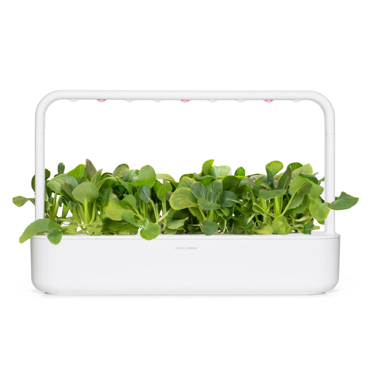 Click and Grow Pak Choi κάψουλες φυτών 9 τεμ λαχανικό
