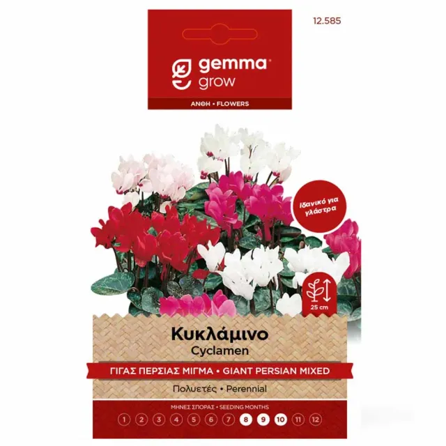 MyAgroMarket κυκλάμινο γίγας σπόροι 0,02gr μίγμα