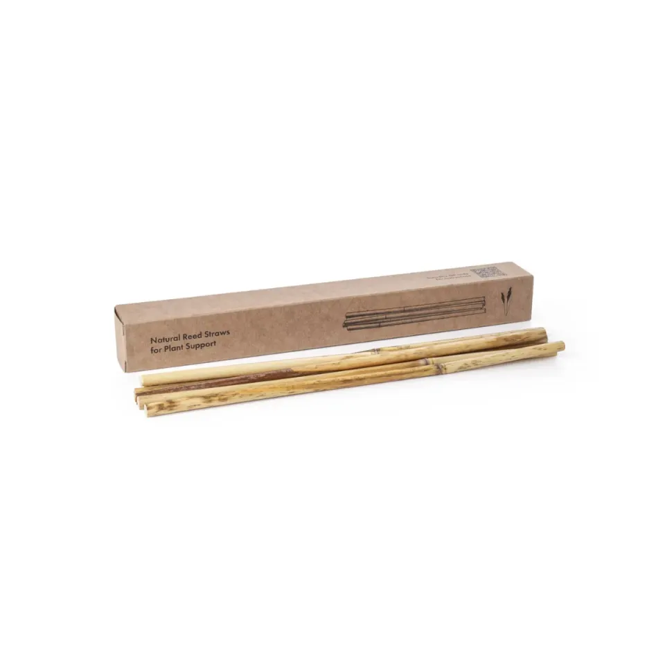 Click and Grow Reed Straws στηρίγματα φυτών 10 τεμαχίων