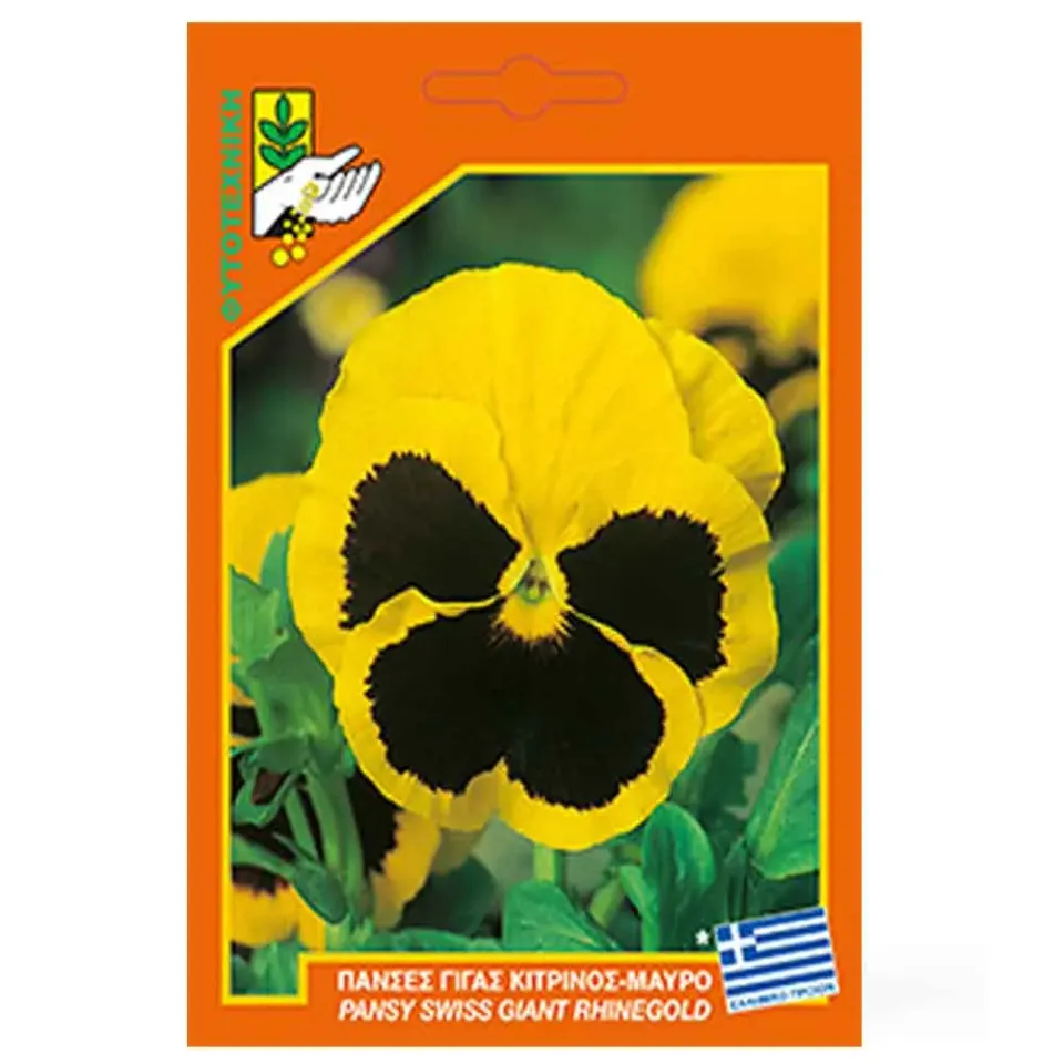 MyAgroMarket πανσές γίγας σπόροι κίτρινος-μαύρος 0,2 gr