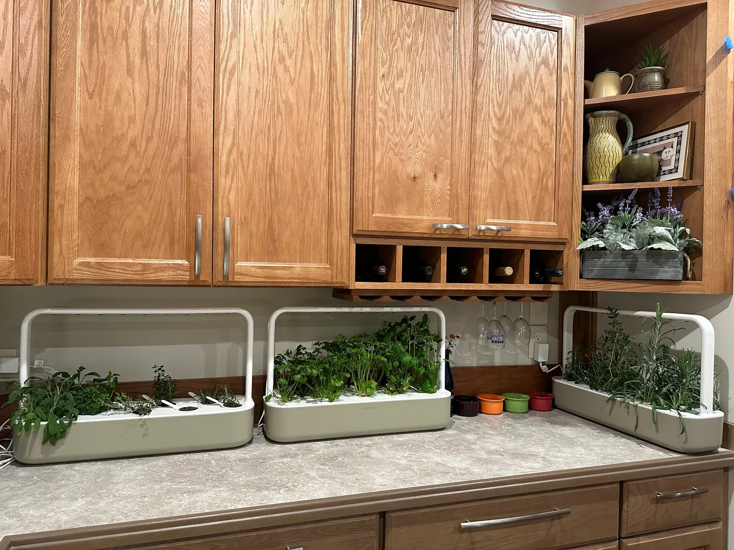 Click and Grow Smart Garden 9 φλοτέρ στάθμης νερού