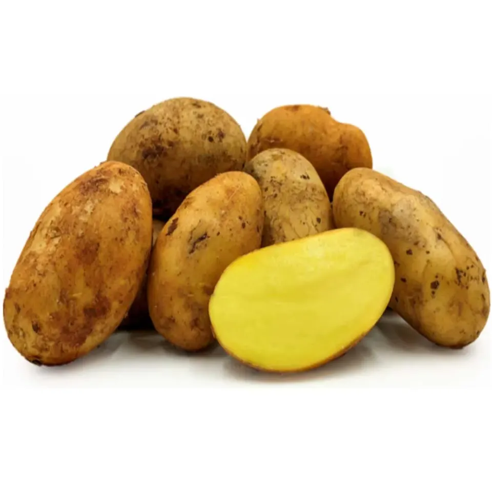 MyAgroMarket Spunta πατατόσπορος Ολλανδίας 35/55 1kg