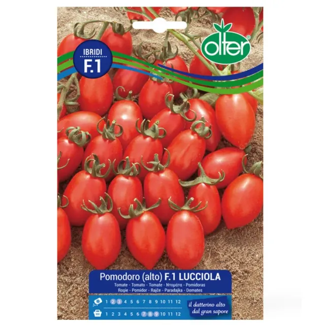 MyAgroMarket Τοματίνι Lucciola F1 βελανίδι σπόροι