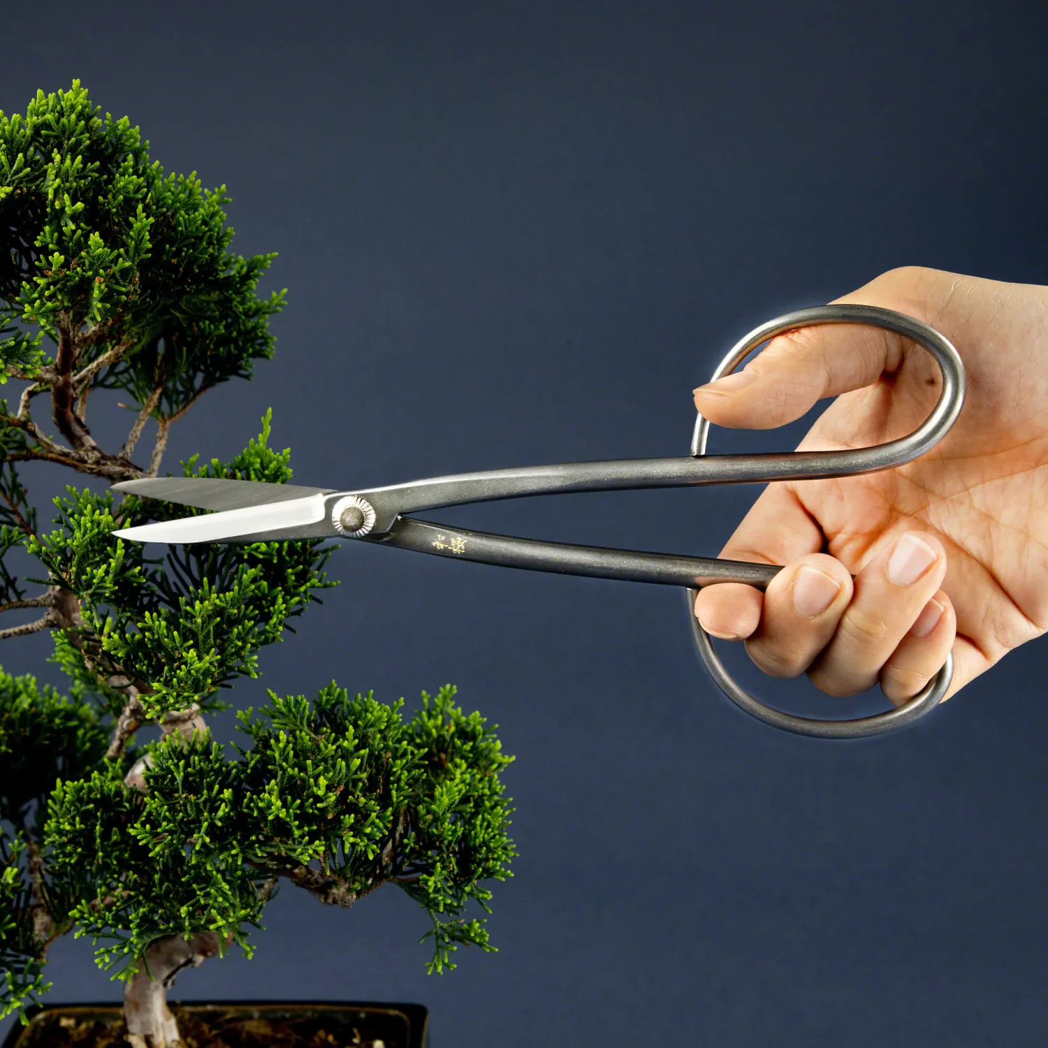 Wazakura Ψαλίδι Bonsai Yasugi 210mm για Κλαδιά