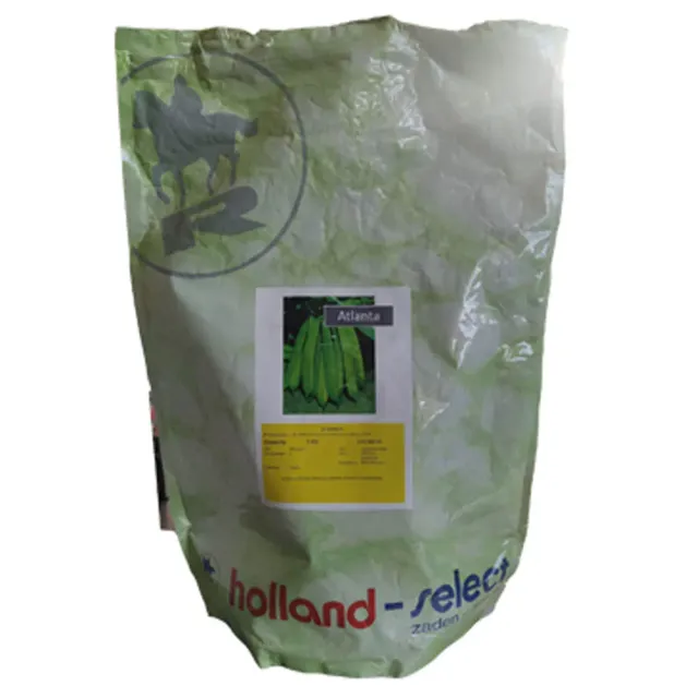 MyAgroMarket Atlanta φασόλι καθιστό σπόροι 40gr άϊνο