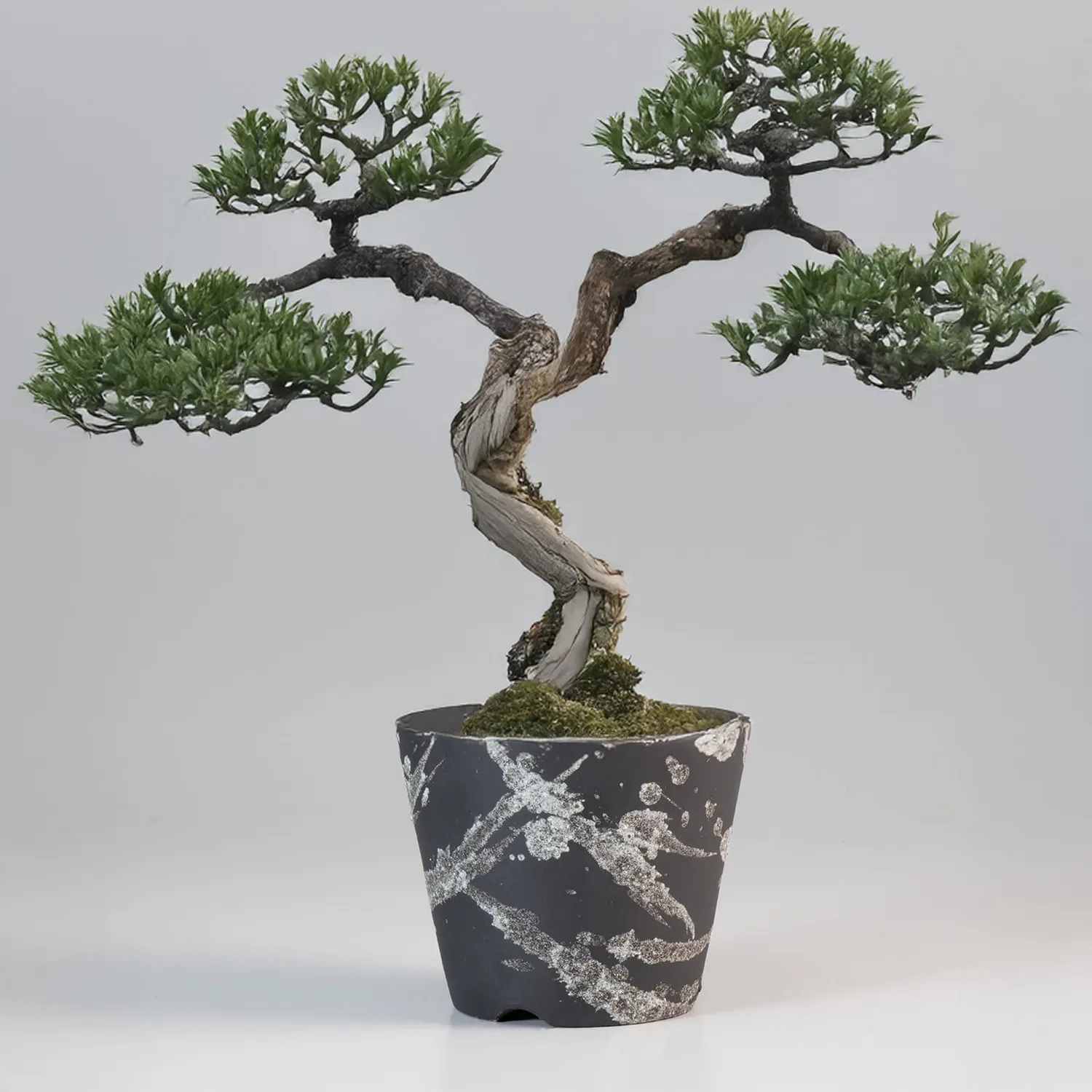 Wazakura Shigaraki γλάστρα μπονσάι κεραμική 10cm λευκή