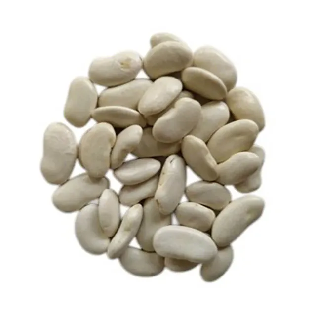 MyAgroMarket Σπόροι Φασόλι Αναρριχώμενο Πλακέ 50gr