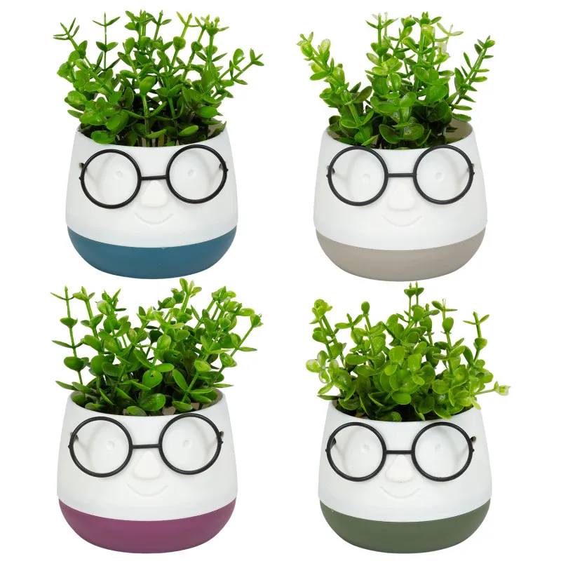 MyAgroMarket Face with Glasses τεχνητό φυτό 10x13cm