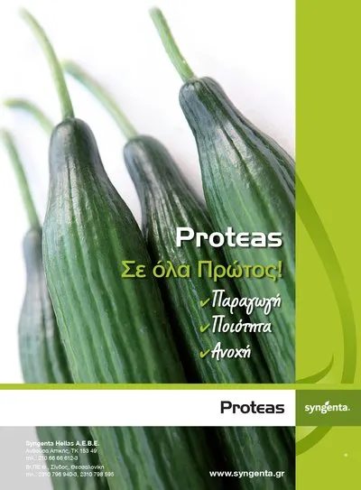 MyAgroMarket Proteas F1 σπόροι αγγουριού μακρύ