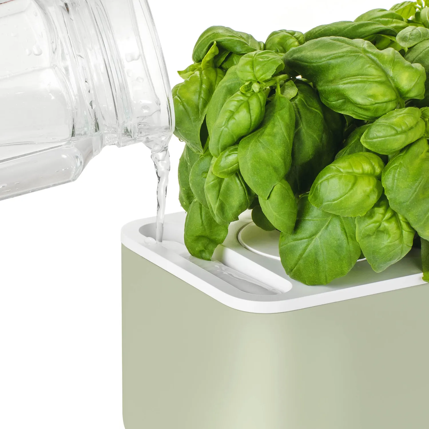 Click and Grow Smart Garden 3 έξυπνη γλάστρα 3 θέσεων λευκή