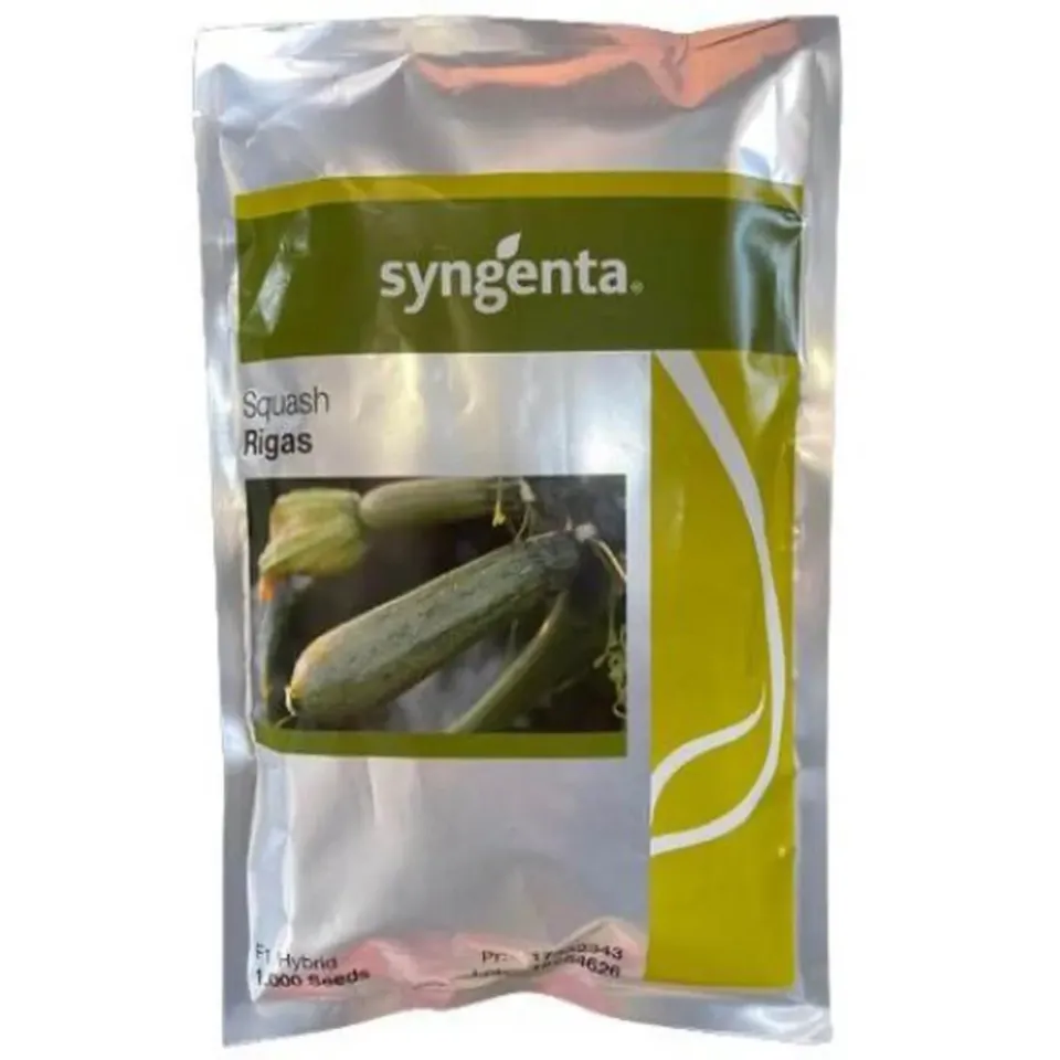 MyAgroMarket Rigas F1 σπόροι κολοκυθιού 1000 σπόροι ανθεκτικό