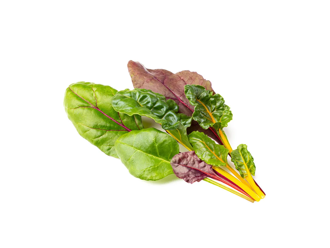 Click and Grow Rainbow Chard κάψουλες φυτών 9-pack