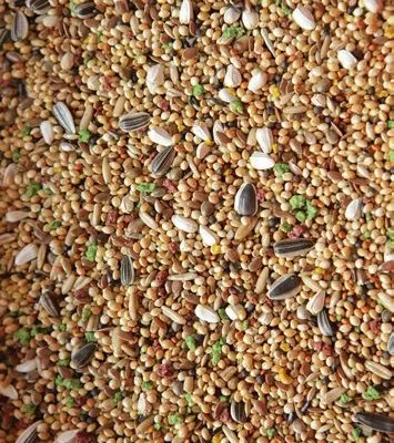 MyAgroMarket παπαγαλίνη τροφή παπαγάλων 1kg με 9 σπόρους