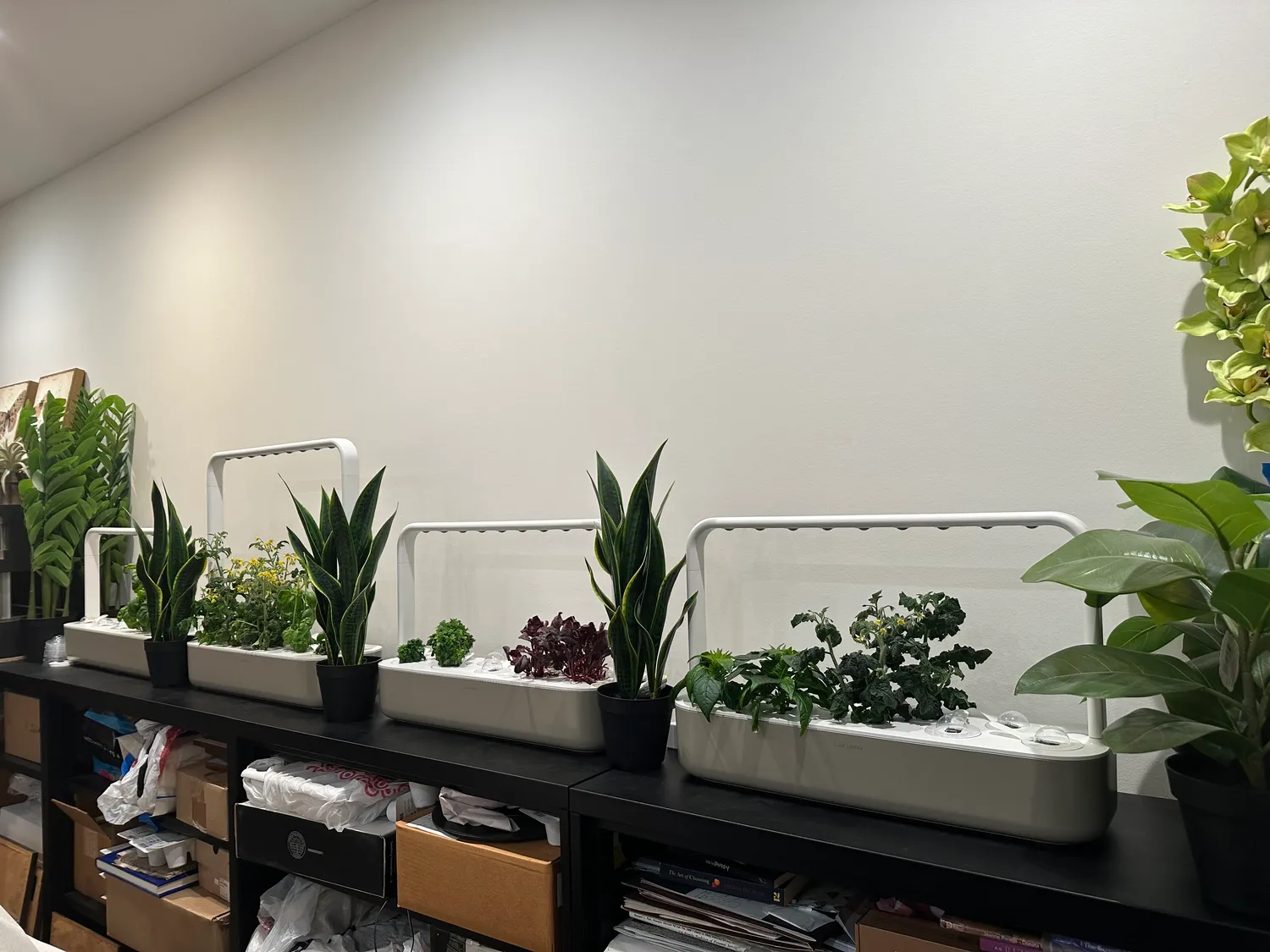 Click and Grow Smart Garden 9 φλοτέρ στάθμης νερού