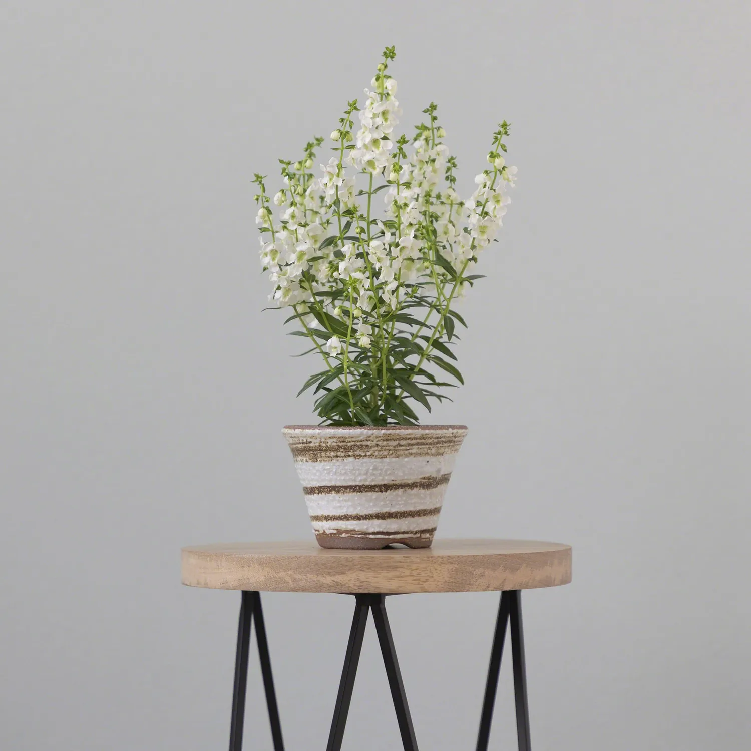 Wazakura Banko Γλάστρα Bonsai Στρογγυλή Λευκή 110mm