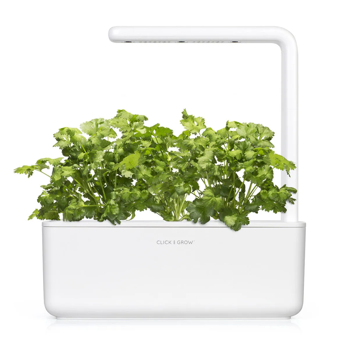 Click and Grow Cilantro κάψουλες κόλιανδρος 3 τεμ φρέσκος
