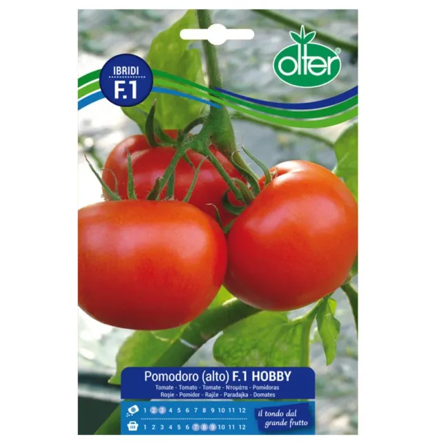 MyAgroMarket Hobby F1 σπόροι ντομάτας αναρριχώμενη
