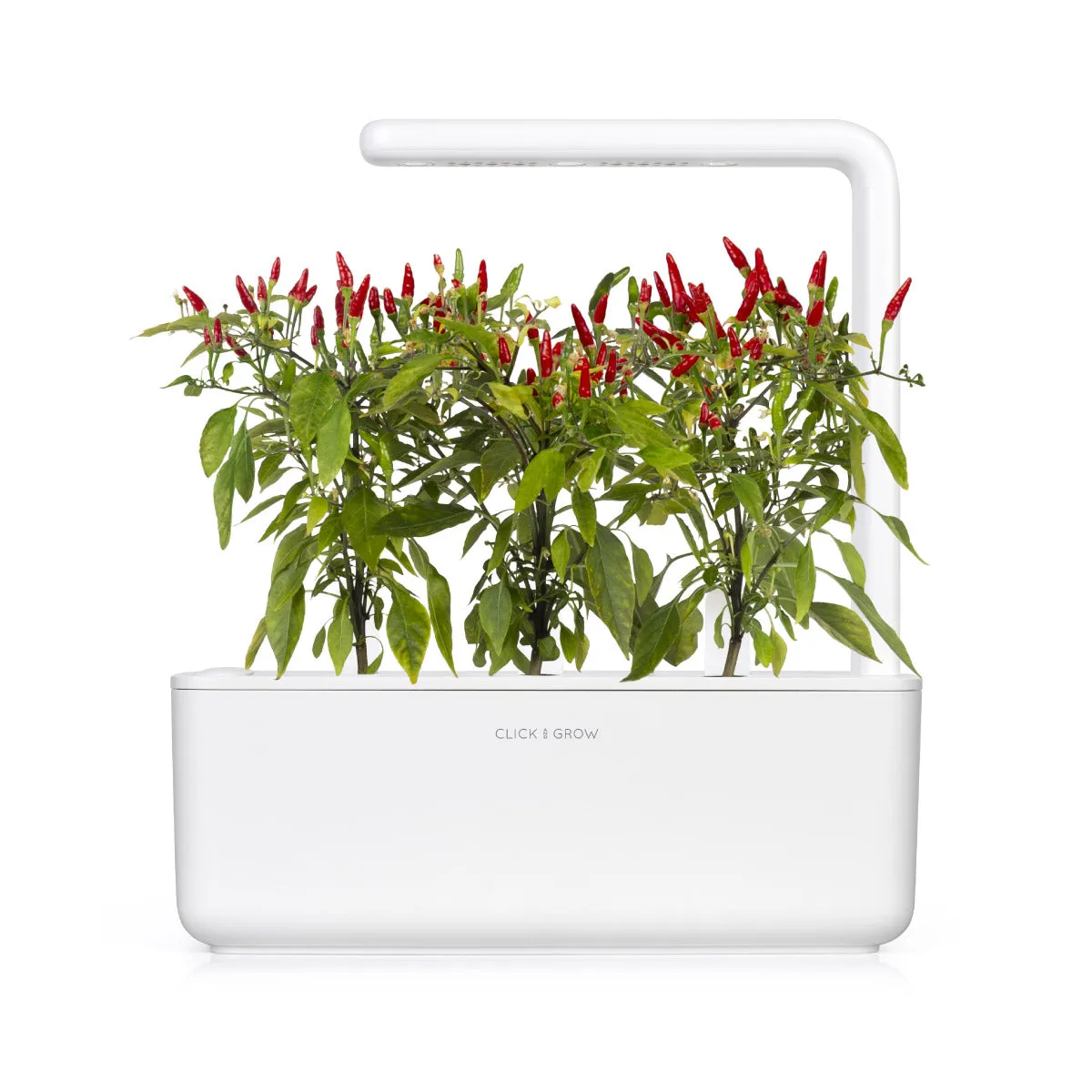 Click and Grow Piri Piri κάψουλες τσίλι 3 τεμάχια