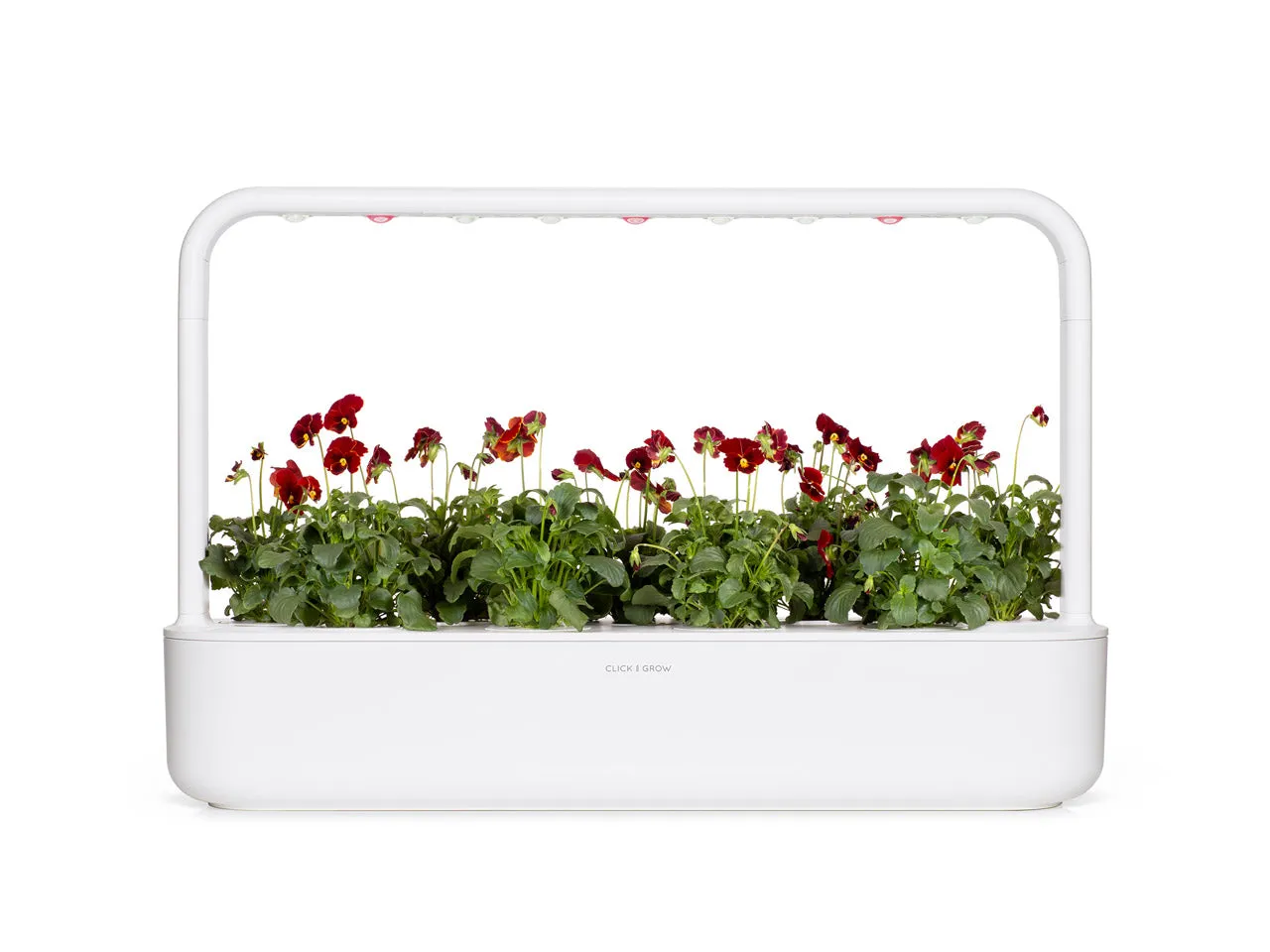 Click and Grow Red Pansy κάψουλες 3 τεμ κόκκινος πανσές