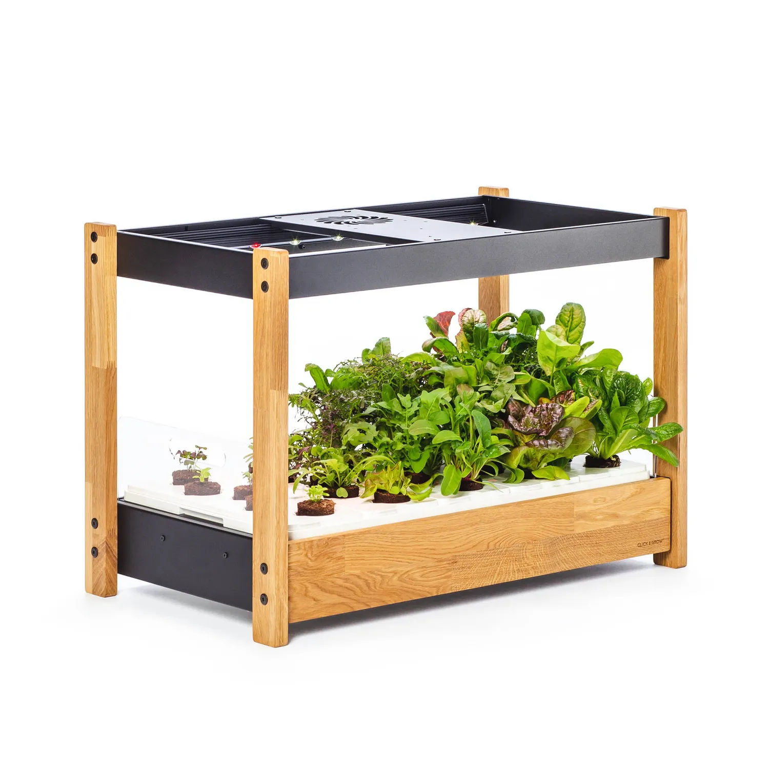 Click and Grow 25 έξυπνος κήπος λευκό συνεχή σοδειά