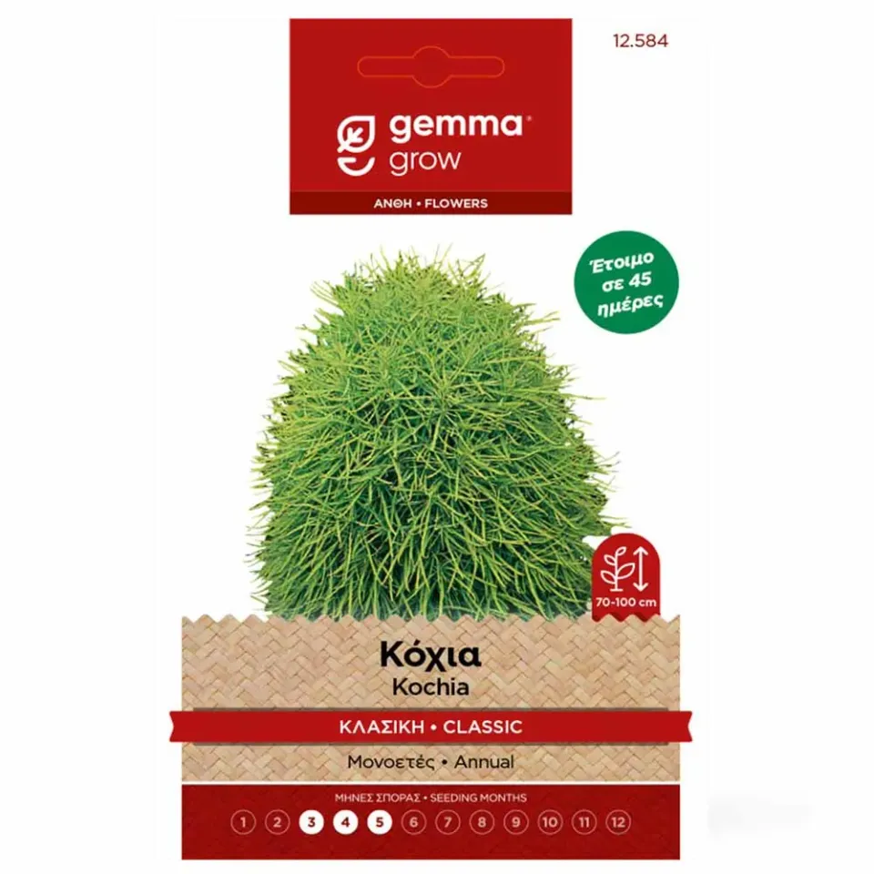 MyAgroMarket Κόχια Tricophylla σπόροι 1gr ηλιόλουστα
