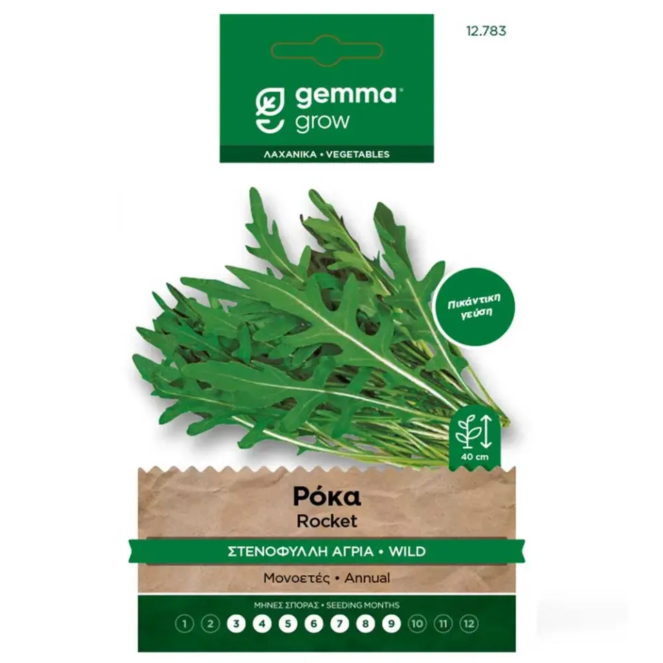 MyAgroMarket Ρόκα Άγρια Σπόροι 1gr Πικάντικη
