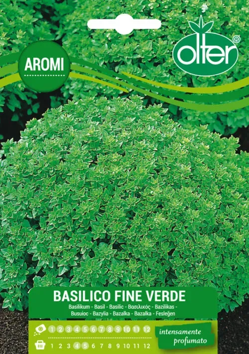 Olter Fine Verde σπόρος βασιλικός για γλάστρα