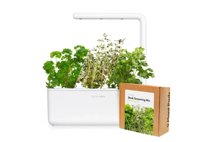 Click and Grow Smart Garden 3 σετ Steak λευκό μυρωδικά