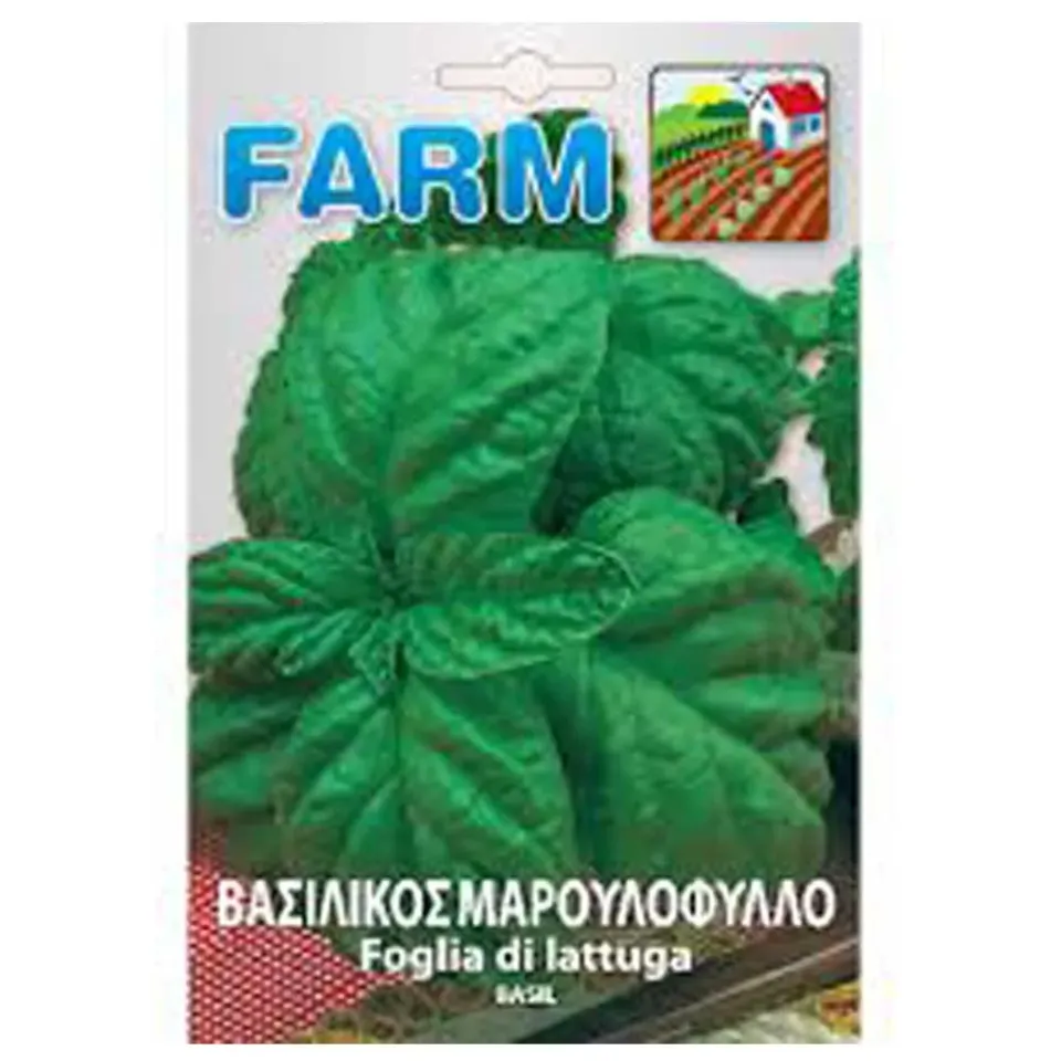 MyAgroMarket Βασιλικός Μαρουλόφυλλος Σπόροι 3gr Pesto