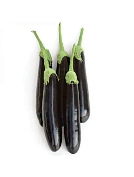 MyAgroMarket Φλάσκα βιολετί σπόροι μελιτζάνας 2gr σφαιρική