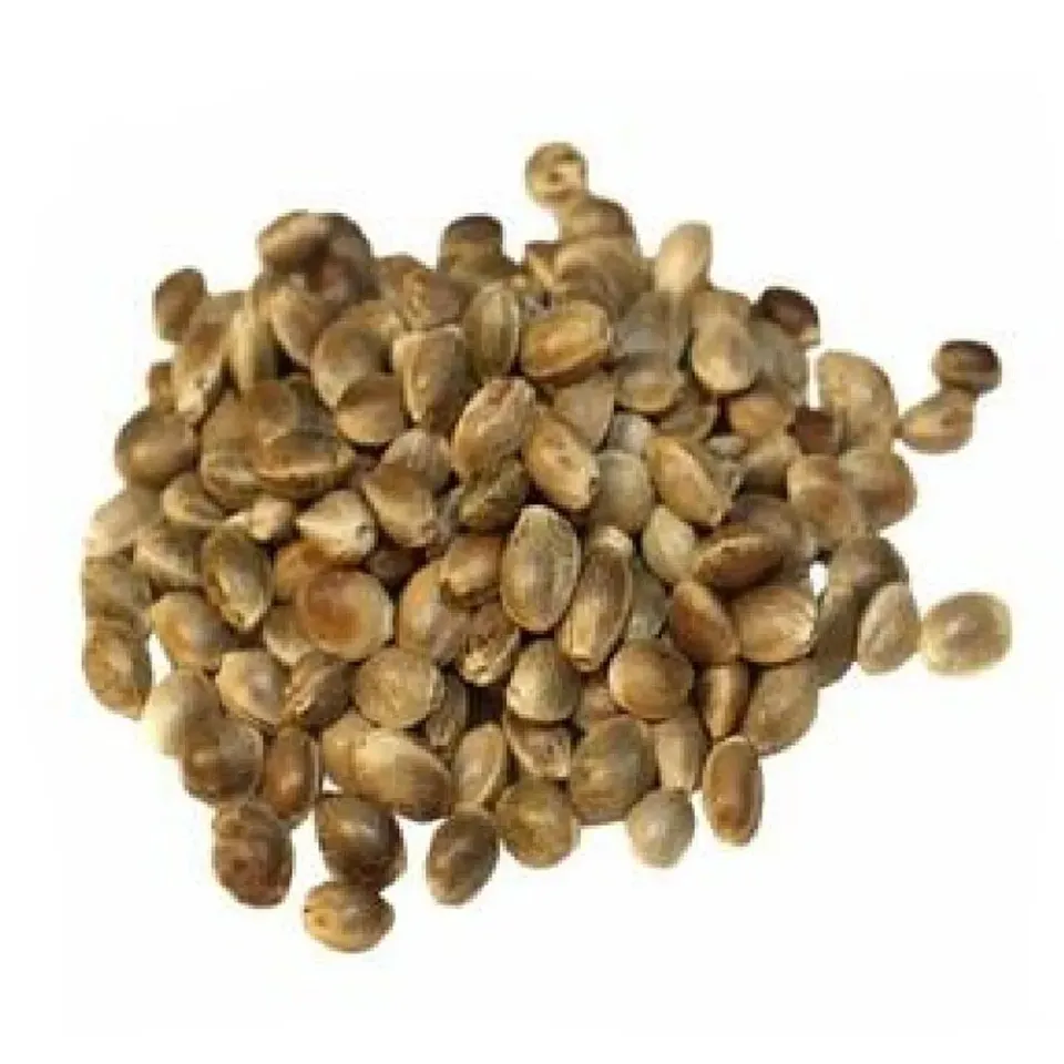 MyAgroMarket καναβούρι για ωδικά πτηνά 1kg με ω-3