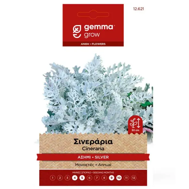 MyAgroMarket Σινεράρια Ασημί 0,2gr Σπόροι Λουλουδιών