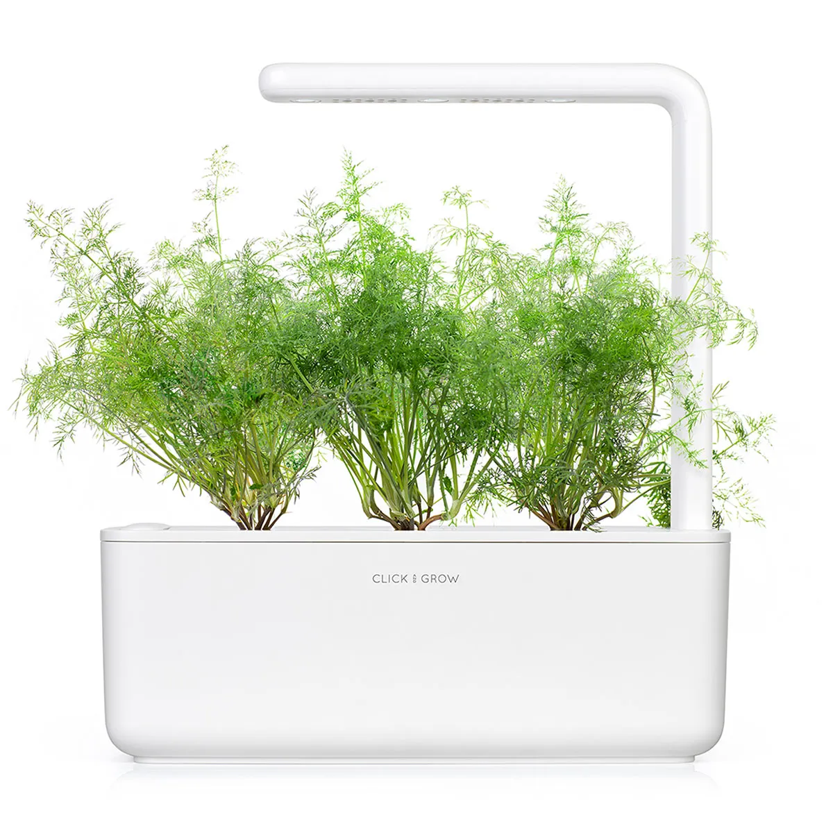 Click and Grow Dill κάψουλες φυτών 3 τεμ μυρωδικό