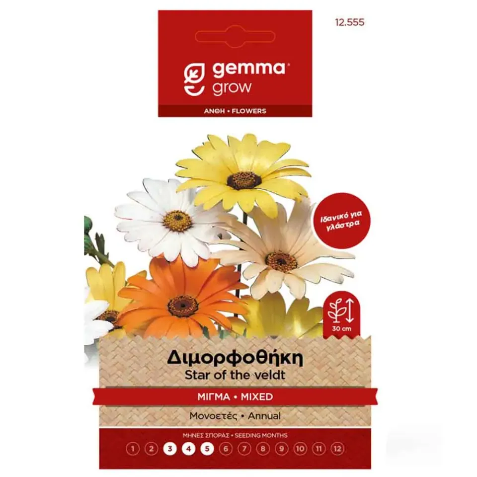 MyAgroMarket Dimorphotheca σπόροι διμορφοθήκης 0,15gr μίγμα