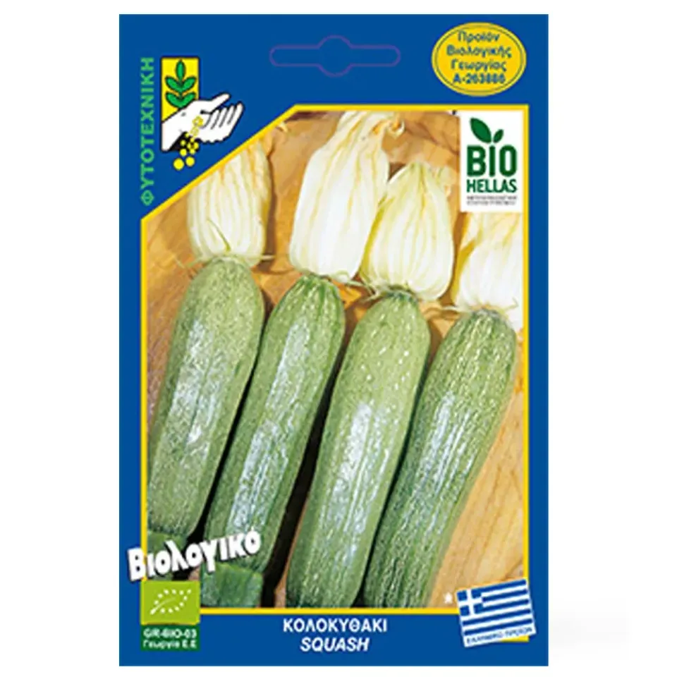 MyAgroMarket σπόροι κολοκυθιού βιολογικοί 5gr