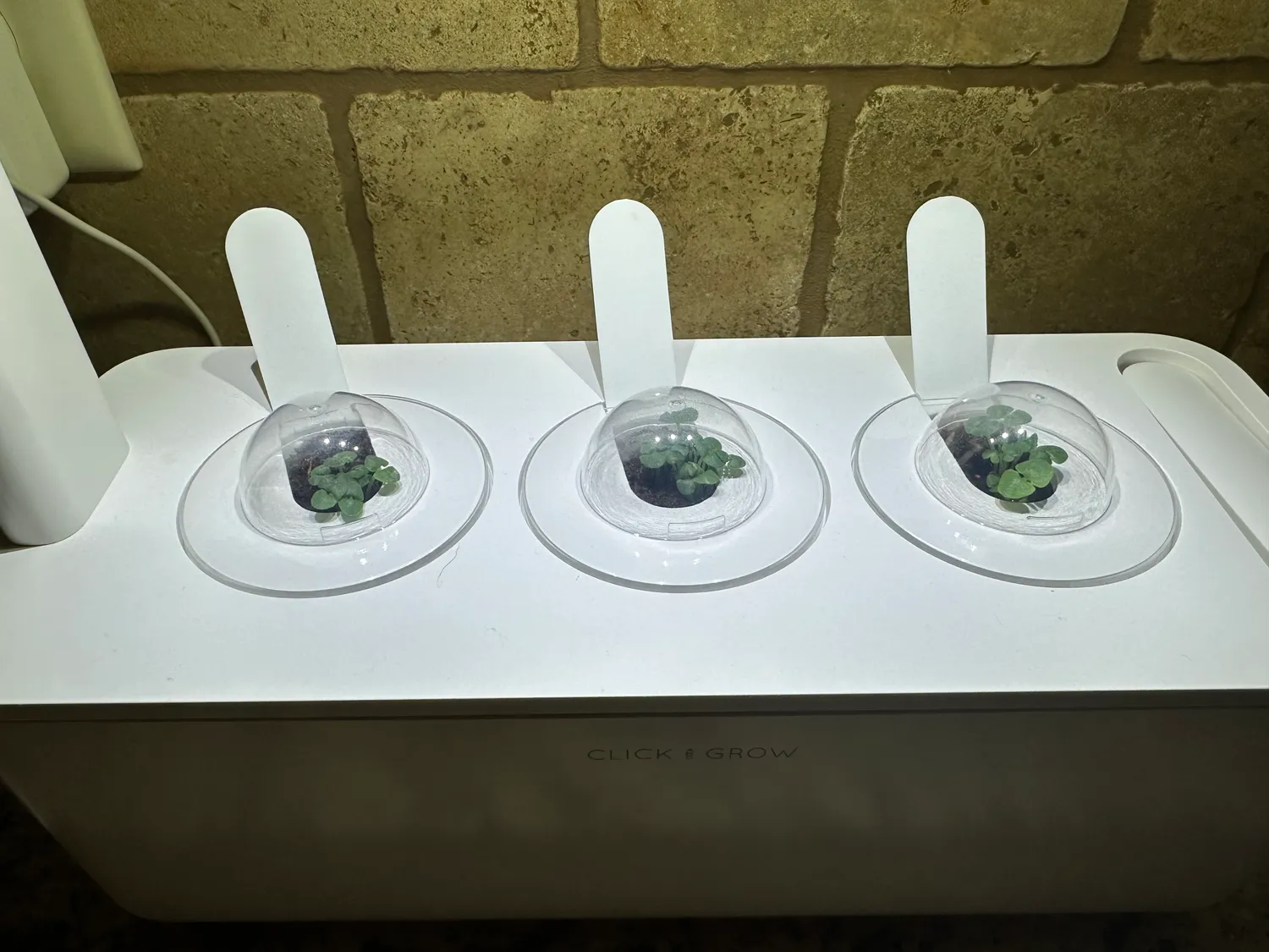 Click and Grow Smart Garden ποτηράκια 3 τεμ πλαστικά