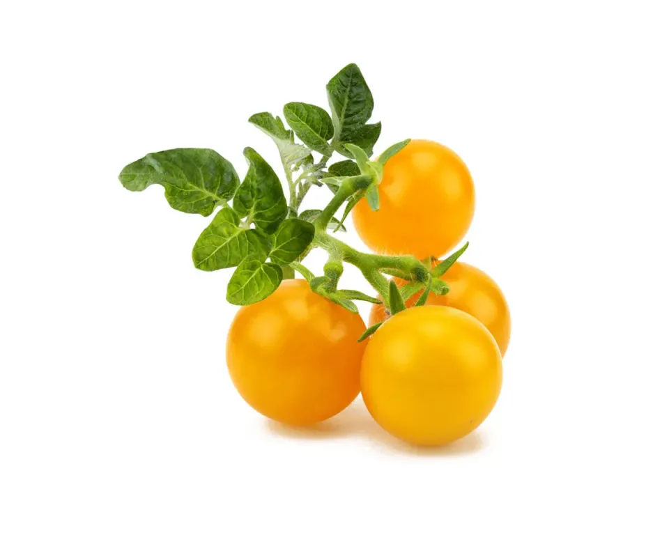 Click and Grow Yellow Mini Tomato κάψουλες ντοματίνια 3 τεμ