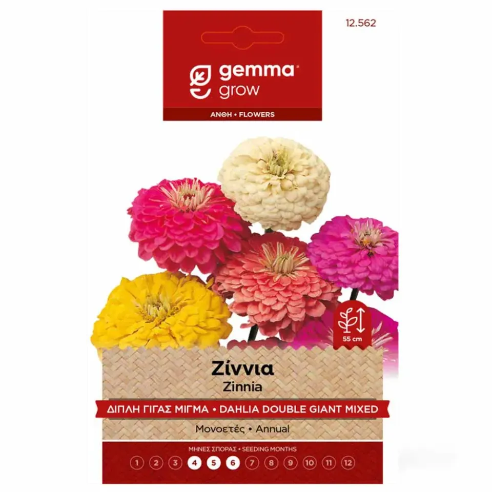 MyAgroMarket Ζίννια Διπλή Μίγμα σπόροι 0,1gr μονοετές