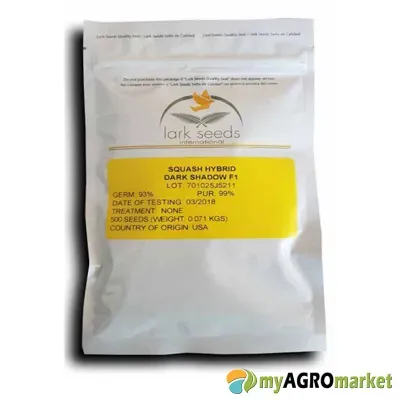 MyAgroMarket κολοκύθι Dark shadow F1 500 σπόροι ανθεκτικό