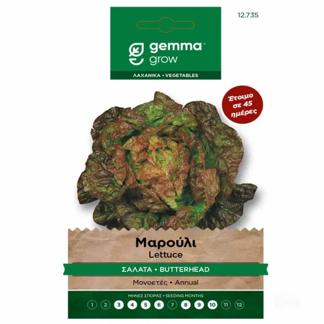 MyAgroMarket Μαρούλι Butterhead Μωβ Σπόροι 3gr 45 ημερών