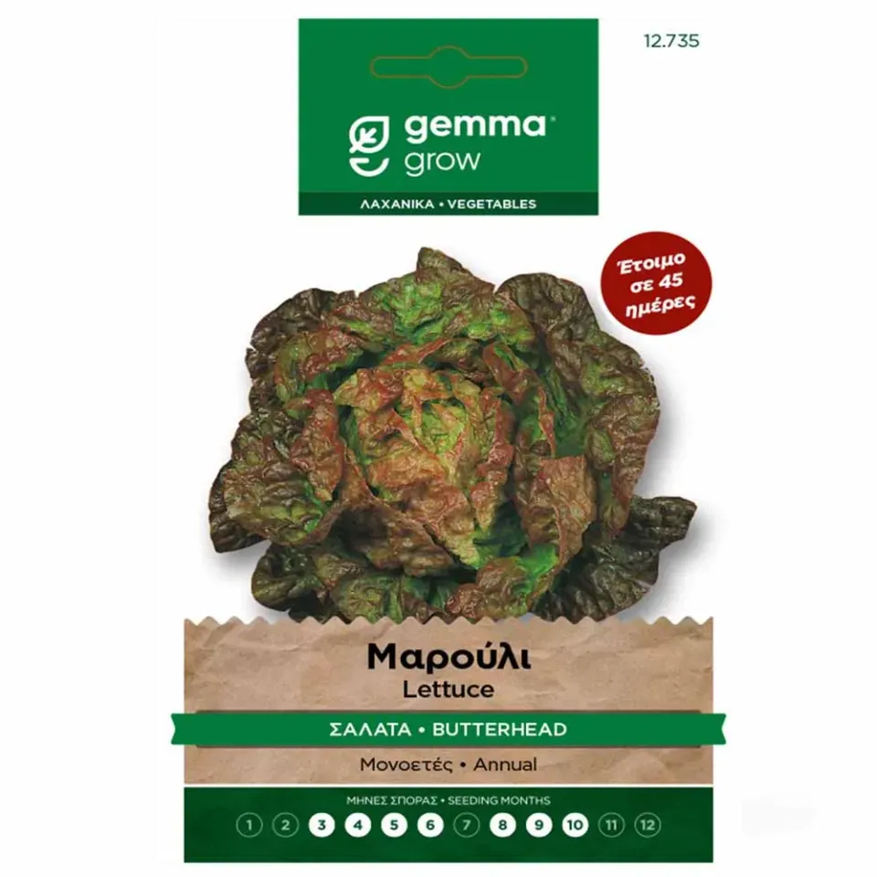 MyAgroMarket Μαρούλι Butterhead Μωβ Σπόροι 3gr 45 ημερών