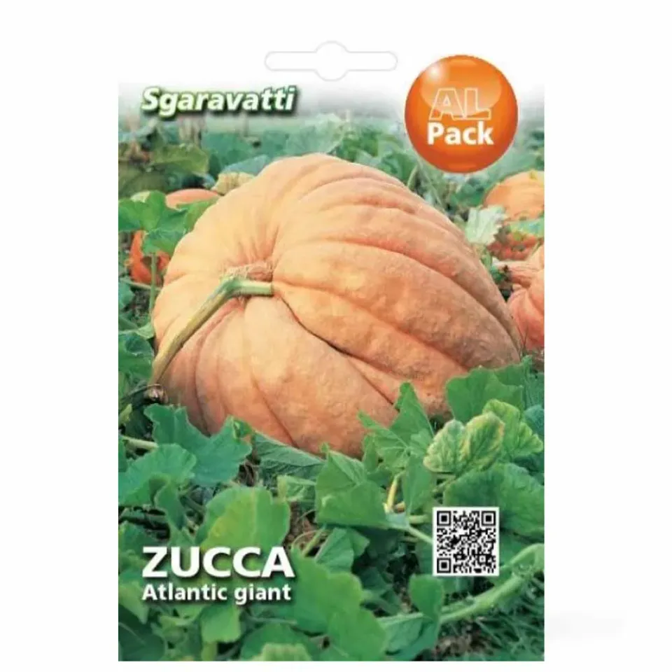 MyAgroMarket Atlantic Giant σπόροι κολοκύθας γίγας 3-5