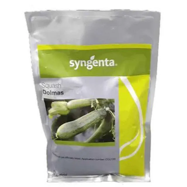 Syngenta Dolmas F1 σπόροι κολοκυθιού 1000 ανθεκτικό