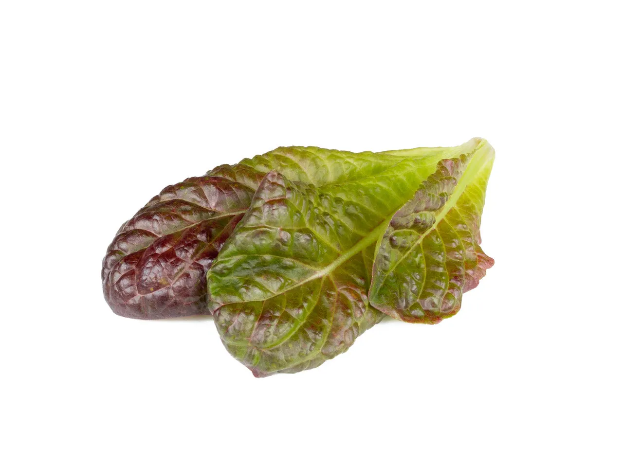 Click and Grow Red Romaine κάψουλες μαρούλι 9 τεμ τραγανό