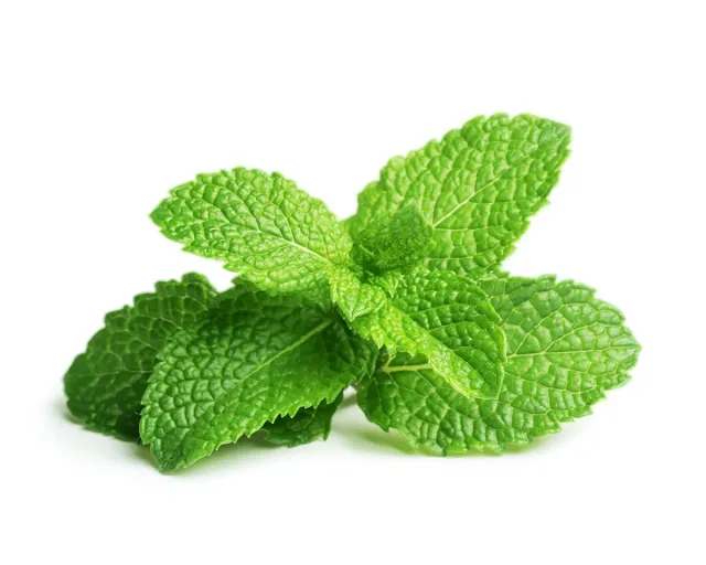 Click and Grow Peppermint κάψουλες δυόσμου 3 τεμ
