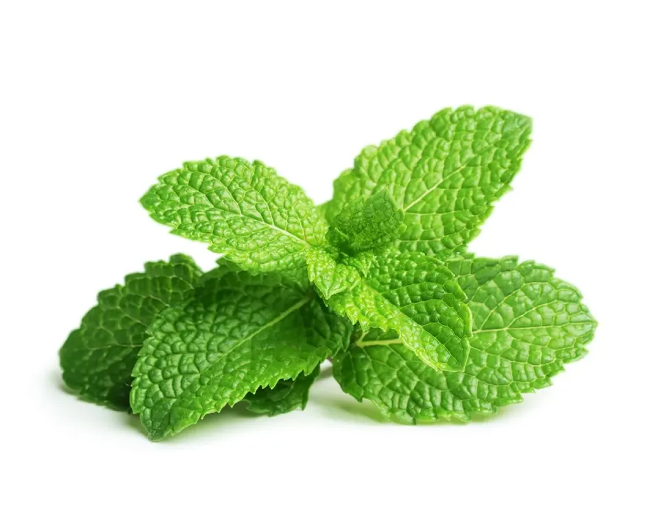 Click and Grow Peppermint κάψουλες δυόσμου 3 τεμ
