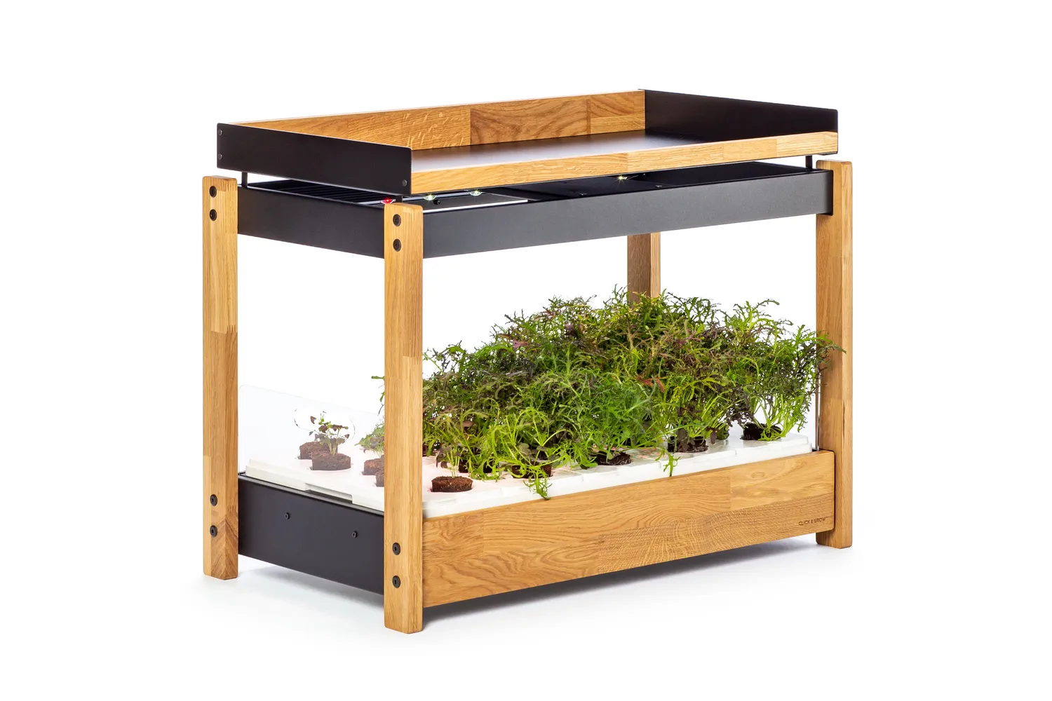 Click and Grow 25 ράφι ξύλινο δρυς λευκό ανθεκτικό