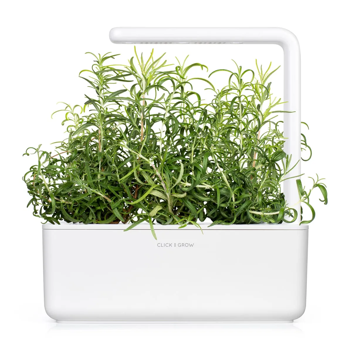 Click and Grow Rosemary κάψουλες φυτών 3-pack αρωματικό