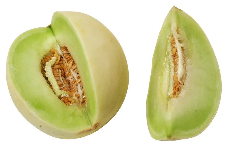 MyAgroMarket Honey Dew πεπόνι σπόροι 25gr μεσοπρώιμοι